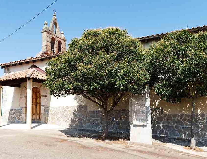 San Pedro de la Nave - Almendra
